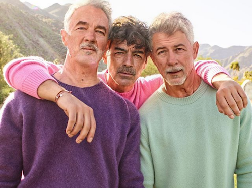 What Are The Best Celeb FaceApp Transformations? Jonas Brothers